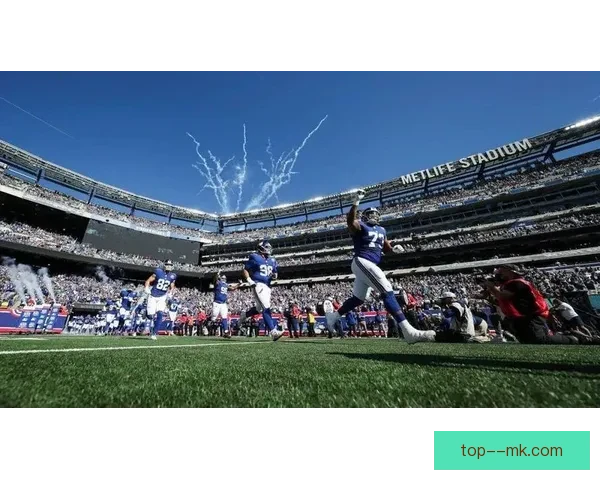 2026年世界杯决赛将在纽约新泽西大都会人寿体育场举行掀起全球体育狂潮