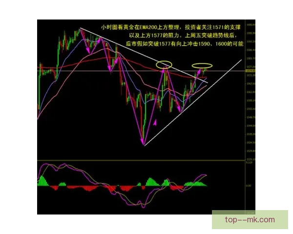 围绕维尼修斯表现解读欧协联赛季整体走势判断关键影响与前景展望